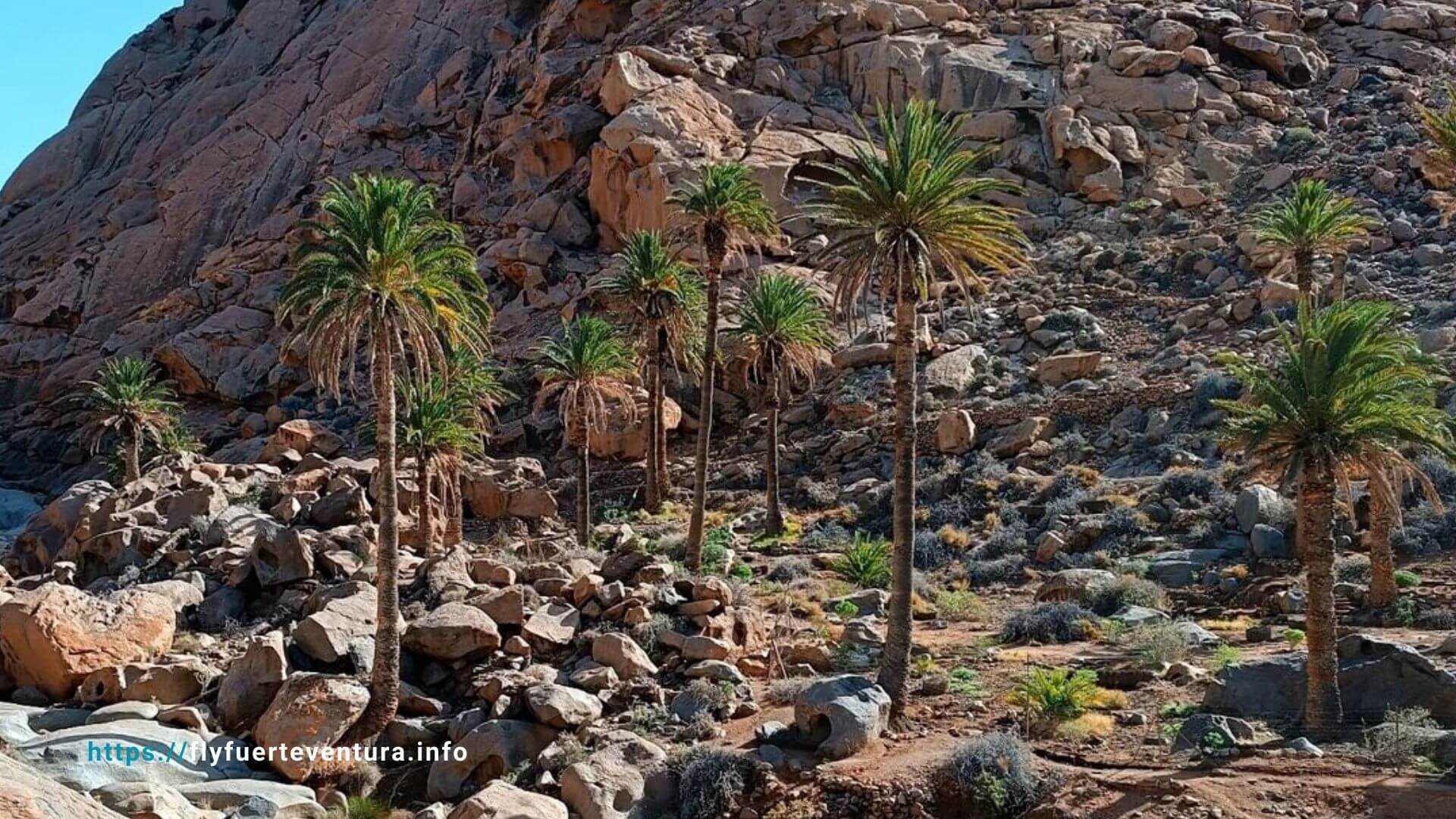 El Barranco de Las Peñitas: Un Refugio Natural en Fuerteventura